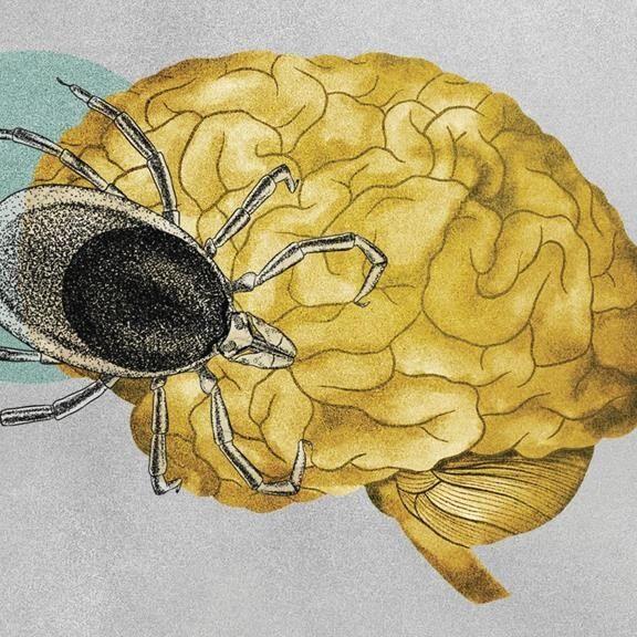 Cases of tick-borne illnesses are on the rise. Some experts believe climate change is the cause